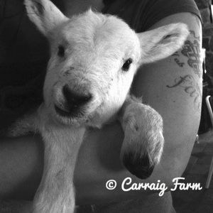 Meet your Posher, Tamara